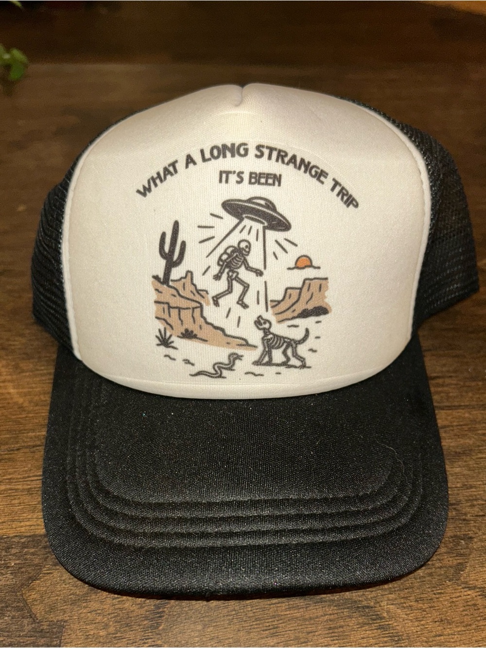 Black & White Desert UFO Trucker Hat - What A Long Strange Trip